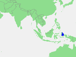 Carte de la mer de Halmahera.