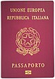 Østerrikske og italienske pass er som i hele unionen, formet etter samme disposisjon for tekst og symboler, og utstyrt som et biometrisk pass.