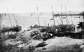 Bateaux de pêche échoués sur le littoral (1901).