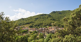 Le hameau de Ceps à Roquebrun dans le piémont.