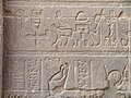 Επιγραφή με ιερογλυφικά σε τοίχο του Ναού της Ίσιδος (Φίλαι)
