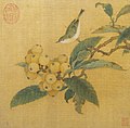 Rossignol sur une branche de Bibaces (néflier), peintre anonyme des Song du Sud, encre et couleurs sur soie, 26,7 × 27,3cm. MET NY (collection John Stewart Kennedy).
