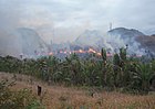 Illegal slash and burn in Madagascar