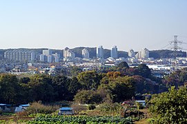 Les tours du quartier de Kōyōdai à Inagi, Tama New Town, emblématique du développement frénétique de l'ouest de la préfecture.