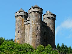 Le château d'Anjony.
