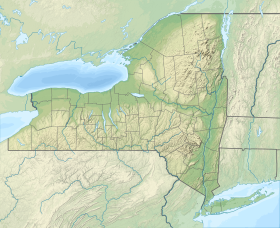 Voir sur la carte topographique de New York (État)