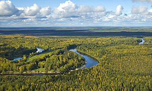 Plaine de Sibérie occidentale : le cours de la Vassiougan.