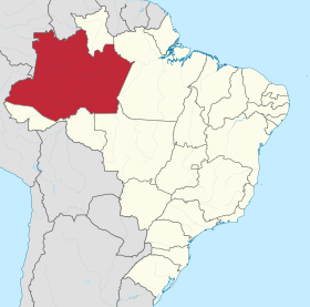 Amazonas (Brésil)