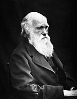 Portrait de Charles Darwin en 1869, par J. Cameron.