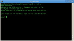 Client MySQL a riga di comando (in Debian).