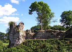 Le château de Montfort-sur-Risle.