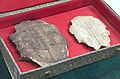 Carapace de tortue datant de la dynastie Shang (XVIe-XIe siècle av. J.-C.) comportant de l'écriture ossécaille, provenant d'Anyang, Musée de l'imprimerie de Chine.