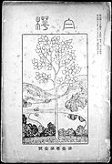 Couverture d'une revue, illustrée d'une gravure montrant un arbre stylisé.