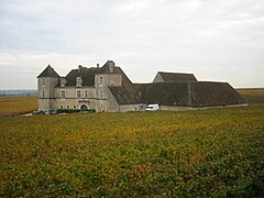 Château du Clos de Vougeot - Clos-vougeot