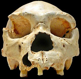 Image illustrative de l’article Sierra d'Atapuerca