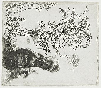 Feuille avec deux études, un arbre et la partie supérieure de la tête de Rembrandt avec un béret de velours, 1640 à 1644, eau-forte.
