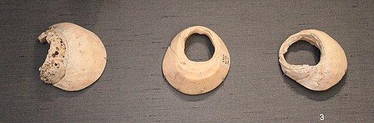 Déchets d'un atelier de production de bracelets en coquillage de Mohenjo-daro. Ces morceaux correspondent à la partie supérieure de la coquille, cassée pour extraire le mollusque puis sciée pour être séparée de la section circulaire à partir de laquelle le bracelet est ensuite travaillé. British Museum.