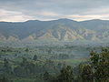 Monts Rwenzori
