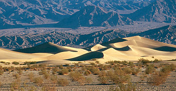 Surmaorg Mojave kõrbes