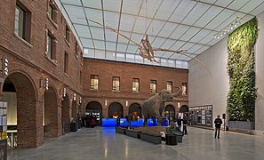 Le Muséum de Toulouse
