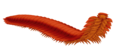 Le myriapode Arthropleura pouvait atteindre 2 m de longueur, mais rien ne prouve qu'il était rouge.