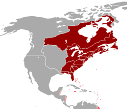 Британска Америка през 1763 г.