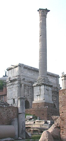 Photographie d'une colonne romaine en arbre