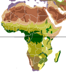 carte d'Afrique avec les biomes représentés en couleur