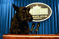 9 mai 2008 Représentant de Wikipédia auprès de la presse: une vie de chien.