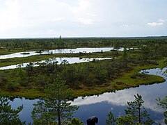 Parcul Național Ķemeri găzduiește mlaștini, izvoare de ape minerale, și lacuri ce sunt foste lagune ale Mării Littorina