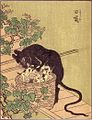 Kyuso, ukiyo-e de Takehara Shunsen (XIXe siècle).
