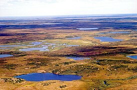 Toundra dans la région des Nenets.