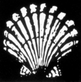 Logo shell 1904-1909