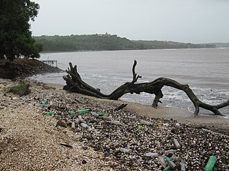Amoncellement de déchets plastiques, notamment des bouteilles, sur une plage à côté de l'océan