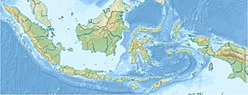 Нова Гвінея. Карта розташування: Індонезія