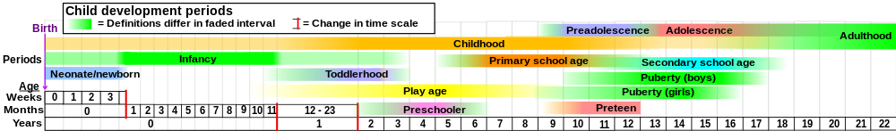 Child development stages