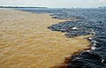 Rencontre des eaux du Rio Negro et du Rio Solimões