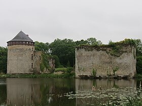 Image illustrative de l’article Château de Montjean