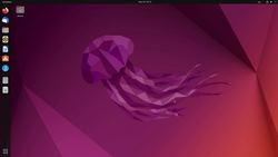Ubuntu, une distribution Linux.