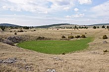 Dépression creuse de quelques mètres dont le fond d'herbe verte contraste avec le paysage de pelouse sèche.