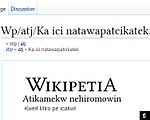 5. Vous êtes maintenant sur la page d'accueil de Wikipetia.