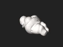 Numérisation tridimensionnelle de la Vénus de Willendorf.