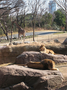 Image illustrative de l’article Zoo de Tennoji