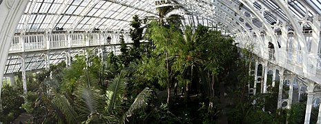 La grande serre ou palmarium (Palm House), de Kew Gardens.