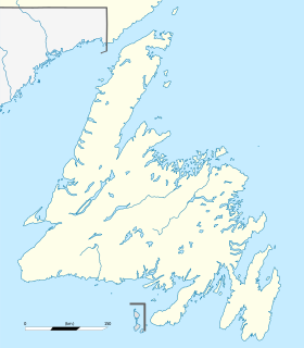 Grand Falls-Windsor está localizado em: Terra Nova