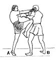 2 - Straight knee-thrust (coup de genou direct)
