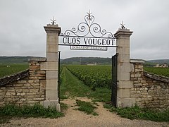 Clos-vougeot et château du Clos de Vougeot