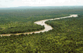 Sungai Gambia mangalir malalui Taman Nasiunal Niokolo-Koba, Senegal.