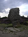 La Cork Stone, en Angleterre.