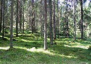 Parc national de Liesjärvi.